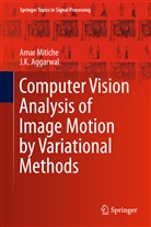 J K Aggarwal, J. K. Aggarwal, J.K. Aggarwal, Jake K. Aggarwal, Ama Mitiche, Amar Mitiche - Computer Vision Analysis of Image Motion by Variational Methods