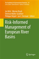 Werne Brack, Werner Brack, Jos Brils, Dietmar Müller, Dietmar Müller-Grabherr, Dietmar Müller-Grabherr et al... - The Handbook of Environmental Chemistry - 29: Risk-Informed Management of European River Basins