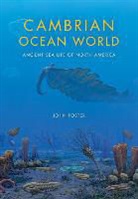 John Foster, Foster John, David L Meyer, David L. Meyer - Cambrian Ocean World