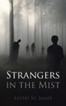 Lestat St James - Strangers in the Mist