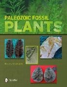 Bruce L. Stinchcomb, Bruce L. Stinchcomb - Paleozoic Fossil Plants