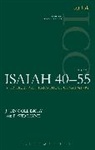 Dr. John Goldingay, Dr. John Payne Goldingay, John Goldingay, John Payne Goldingay, David Payne, Graham I. Davies... - Isaiah 40-55 Vol 2 (ICC)