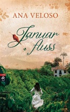 Ana Veloso - Januarfluss