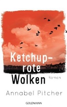 Annabel Pitcher - Ketchuprote Wolken