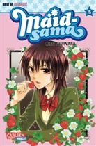 Hiro Fujiwara - Maid-sama. Bd.15