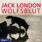 Jack London, Johannes Steck - Wolfsblut, 4 Audio-CDs (Hörbuch)
