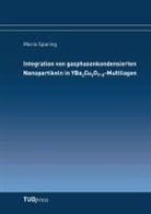 Maria Sparing - Integration von gasphasenkondensierten Nanopartikeln in YBa2Cu3O7-d-Multilagen