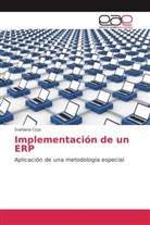Svetlana Czyz - Implementación de un ERP