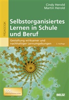 Cind Herold, Cindy Herold, Martin Herold - Selbstorganisiertes Lernen in Schule und Beruf