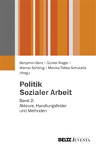Benjamin Benz, Günter Rieger, Werner Schönig, Benjamin Benz, Günte Rieger, Günter Rieger... - Politik Sozialer Arbeit. Bd.2