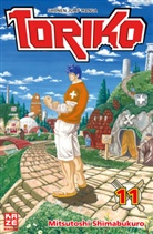 Mitsutoshi Shimabukuro - Toriko. Bd.11