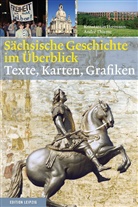 Konstantin Hermann, André Thieme - Sächsische Geschichte im Überblick