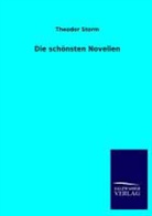 Theodor Storm - Die schönsten Novellen