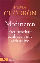 Pema Chödrön - Meditieren - Freundschaft schließen mit sich selbst