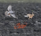 Markus Zeiler - Beize