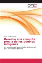 Yuri A Tornero Cruzatt, Yuri A. Tornero Cruzatt - Derecho a la consulta previa de los pueblos indígenas