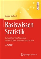 Ansgar Steland - Basiswissen Statistik
