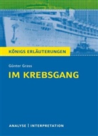 Rüdiger Bernhardt, Günter Grass - Günter Grass 'Im Krebsgang'