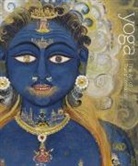 Debra Diamond, Debra (EDT)/ White Diamond, Carl Ernst, David Gordon White, James Mallinson, Sir James Mallinson... - Yoga