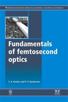 S A Kozlov, S a (St Petersburg National Research Unive Kozlov, S A (St Petersburg National Research University of Information Technologies) Kozlov, S. A. Kozlov, S. A. Samartsev Kozlov, S. A./ Samartsev Kozlov... - Fundamentals of Femtosecond Optics