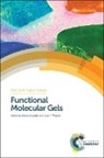 Beatriu Escuder, Beatriu (Universitat Jaume I Escuder, Beatriu Miravet Escuder, Hans_jurgen Butt, Hans-Jurgen Butt, Beatriu Escuder... - Functional Molecular Gels