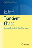 Ying-Chen Lai, Ying-Cheng Lai, Tamás Tél - Transient Chaos