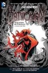 W. Haden Blackman, W.Haden Blackman, Amy Reeder, J H Williams, J. H. Williams, J.H. Williams... - Batwoman