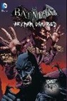 Jason Shawn Alexander, Derek Fridolfs, Derek/ Alexander Fridolfs, Derek Fridolfs &amp; Jason Sha Alexander, Jason Shawn Alexander, VARIOUS - Batman: Arkham Unhinged 3