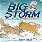 Nancy Tafuri, Nancy Tafuri - The Big Storm