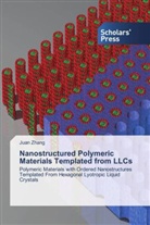 Juan Zhang - Nanostructured Polymeric Materials Templated from LLCs