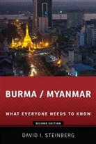 David Steinberg, David I Steinberg, David I. Steinberg - Burma Myanmar