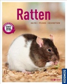 Andrea Langos - Ratten
