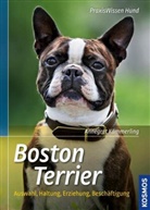 Annegret Kämmerling - Boston Terrier