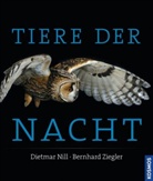 Nil, Dietma Nill, Dietmar Nill, Ziegler, Bernhard Ziegler - Tiere der Nacht