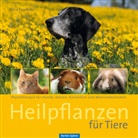 Petra Pawletko - Heilpflanzen für Tiere