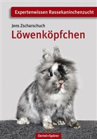 Jens Zscharschuch - Löwenköpfchen