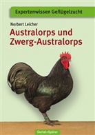 Norbert Leicher - Australorps und Zwerg-Australorps