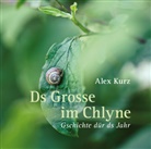 Alex Kurz - Ds Grosse im Chlyne (Audio book)