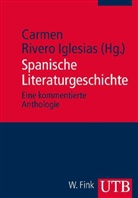 Carme Rivero Iglesias, Carmen Rivero Iglesias - Spanische Literaturgeschichte