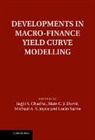Jagjit S Chadha, Jagjit S. Durre Chadha, Jagjit Chadha, Jagjit S. Chadha, Chadha Jagjit S., Alain Durre... - Developments in Macro-Finance Yield Curve Modelling