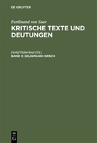 Detle Haberland, Detlef Haberland - Ferdinand von Saar: Kritische Texte und Deutungen - Band 3: Seligmann Hirsch