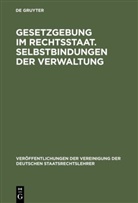 Kurt Eichenberger, Wolfgang Hoffmann-Riem, Michael Kloepfer, Richard Novak, Bernhard Raschauer, Dieter H. Scheuing - Gesetzgebung im Rechtsstaat. Selbstbindungen der Verwaltung