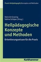 GREVIN, Heinric Greving, Heinrich Greving, Sabine SchÃ¤per, Schäpe, Schäper... - Heilpädagogische Konzepte und Methoden