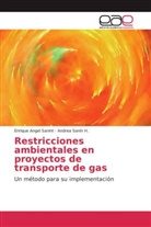 Enriqu Angel Sanint, Enrique Angel Sanint, Andrea Sanín H, Andrea Sanín H. - Restricciones ambientales en proyectos de transporte de gas