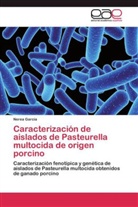 Nerea García - Caracterización de aislados de Pasteurella multocida de origen porcino