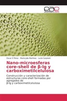 Lu Carpineti, Lucía Carpineti, María Juli Martínez, María Julia Martínez, Oscar Pérez, Oscar E Pérez - Nano-microesferas core-shell de beta-lg y carboximetilcelulosa