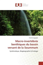 Fatah Zouggaghe, Zouggaghe-f - Macro invertebres benthiques du