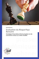 Rachid Boutti, Boutti-r - Evaluation du risque-pays bancaire