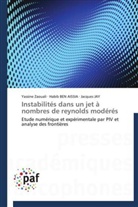 Habi BEN AISSIA, Habib Ben Aissia, Jay Jacques, Jacques Jay, Yassin Zaouali, Yassine Zaouali - Instabilites dans un jet a