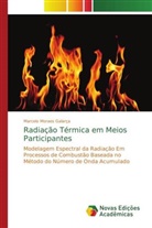 Marcelo Moraes Galarça - Radiação Térmica em Meios Participantes